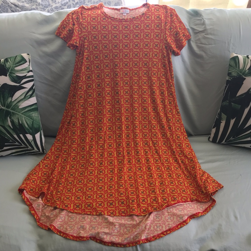 Lularoe Floral Carly Dress